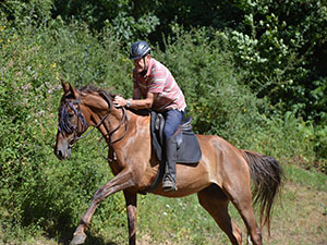 Derek patting Pelangi